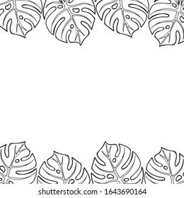 Marco horizontal dibujado a mano con hojas monsteras. Hojas tropicales exóticas en forma de doodle aisladas en un fondo blanco. Plantilla para tarjeta, banner, adhesivo. Ilustración vectorial con espacio para texto.