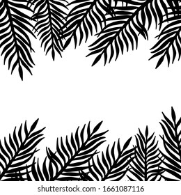 Marco horizontal dibujado a mano con rama de palmera. Hojas tropicales exóticas en forma de doodle aisladas en un fondo blanco. Plantilla para tarjeta, banner, adhesivo. Ilustración vectorial con espacio para texto.