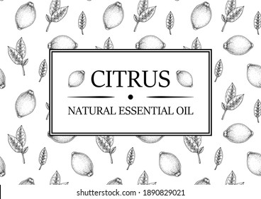 Hand drawn horizontal vintage lemon banner. Vector illustration in sketch style isolated on white. Print, package, card design.