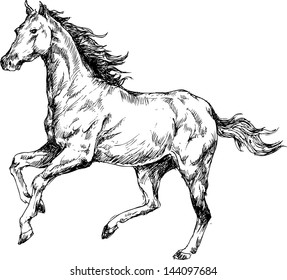 Hand Drawn Horse