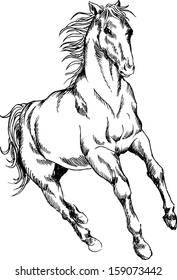 hand drawn horse