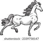 Hand drawn horse engraving, vintage engraved illustration.