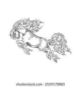 Hand drawn horse engraving, vintage engraved illustration.