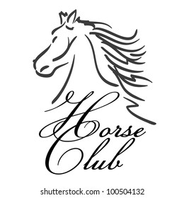 hand drawn Horse head on white