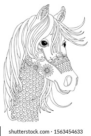 Hand drawn horse head. Sketch for anti-stress adult coloring book in zen-tangle style. Vector illustration for coloring page.