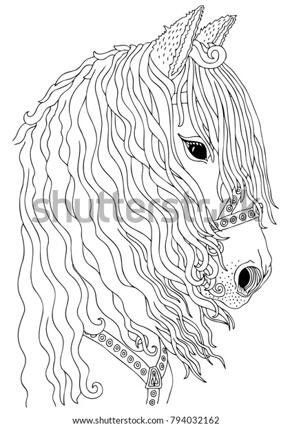 hand drawn horse head sketch antistress stock vector