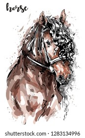 Hand drawn horse head. Stylish horse portrait. Cute animal poster. Sketch. Vector illustration.