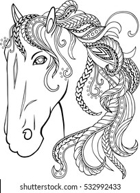 Hand drawn horse head. Vector