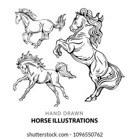 Hand drawn horse illustrations set.