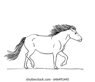 Hand drawn horse in line art style, Vector sketch