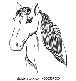 Hand drawn horse with long mane and bang, vector sketch of mare