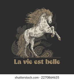 HAND DRAWN HORSE REARING EQUINE PAISLEY PRETTY CUTE FRENCH GIRLY TYPOGRAPHY VINTAGE TSHIRT TEE PRINT FOR APPAREL MERCHANDISE