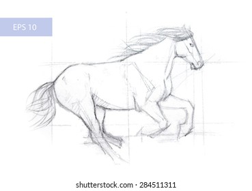 hand drawn horse. vector format EPS 10