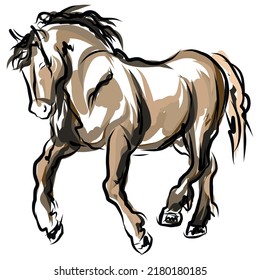 Hand Drawn Horse Vector Illustration