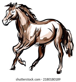 Hand Drawn Horse Vector Illustration