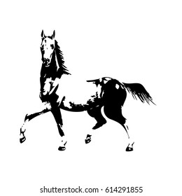 Hand drawn Horse, Vector illustration on white background 