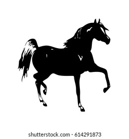 Hand drawn Horse, Vector illustration on white background 