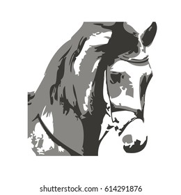 Hand drawn Horse, Vector illustration on white background 