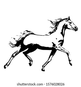 Hand drawn horse. vector isolated on a transparent background
