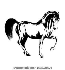 Hand drawn horse. vector isolated on a transparent background