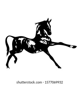 Hand drawn horse. Vector isolated on a transparent background.