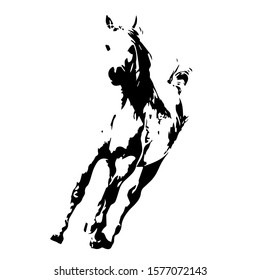 Hand drawn horse. Vector isolated on a transparent background.