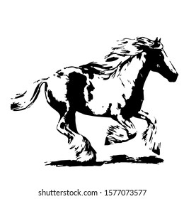 Hand drawn horse. Vector isolated on a transparent background.