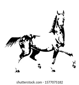 Hand drawn horse. Vector isolated on a transparent background.