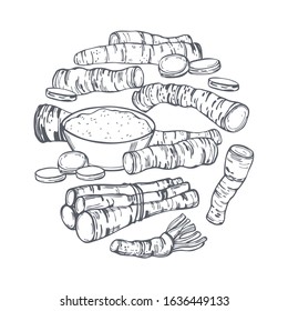 Hand drawn horseradish in a circle. Vector sketch  illustration.