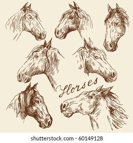 hand drawn horses collection