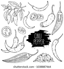 Hand drawn hot chili pepper set. Peppers chili, slices, halves, crushed pieces and branch isolated on white background. Outline ink slyle sketch. Vector coloring illustration.