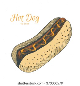 Hand drawn hot dog