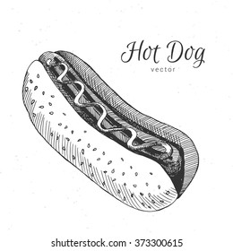 Hand drawn hot dog