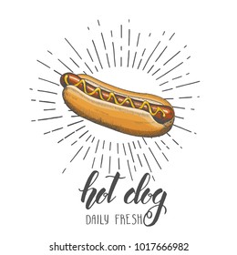 Hand drawn hot dog isolated on white. Trendy element for fast food menu. Hand made lettring. Vector object. Sketch, engraving