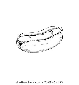 Hand drawn hot dog vintage illustration. Engraving style black and white on white backgrounds. Vector