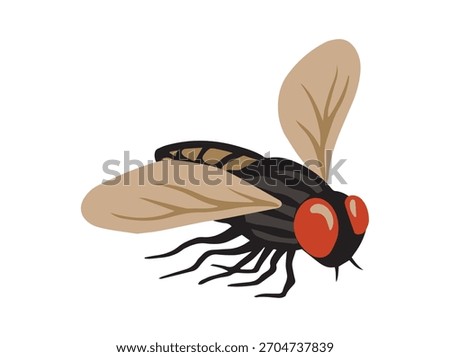 Hand Drawn House Fly Insect 
