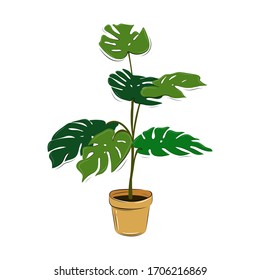 Hand drawn house plant. Plant in pot. Vector element isolated on white. Palm tree