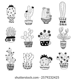 Hand drawn house plants, cactus in pots. Vector set of Illustration of houseplants