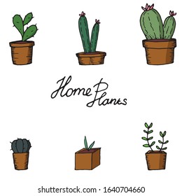 Hand drawn house plants collection. Doodle style cactuses isolated on white. Elements for design, postcards, plant shop, textile, wallpaper, web etc