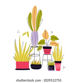 Hand drawn house plants composition. Flat style vector illustration isolated on white background. Indoor houseplants in pots. Potted doodle  plants collection. 

