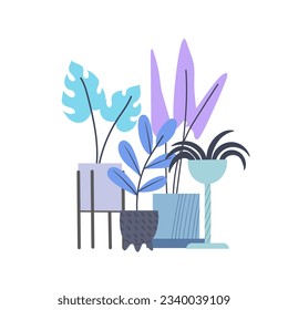 Hand drawn house plants composition in vibrant colours and flat minimal style on white background