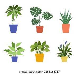 Hand drawn house plants and flower in pots. Set of vector illustrations in flat style isolated on white background. Potted monstera