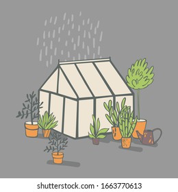 Hand drawn house plants and greenhouse. Vector sketch  illustration.