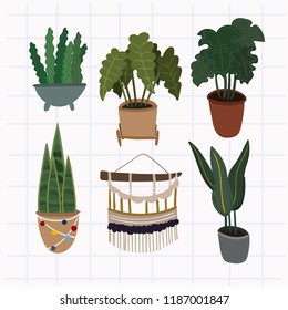 Hand drawn house plants and macrame. Colored vector set. All elements are isolated