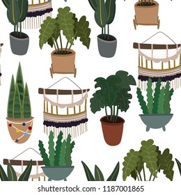 Hand drawn house plants and macrame. Colored vector seamless pattern