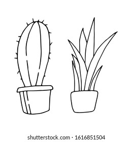 Hand drawn house plants in pots on a white background