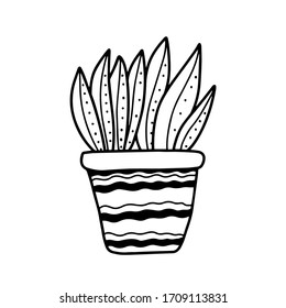 Hand drawn house plants in pots in doodle cartoon style isolated on white background. Vector outline potted plants collection. Quarantine positive doodle icons, home floral element.