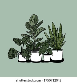 Hand drawn house plants in pots. 