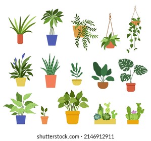 Hand drawn house plants in pots. Set of vector illustrations in flat style isolated on white background