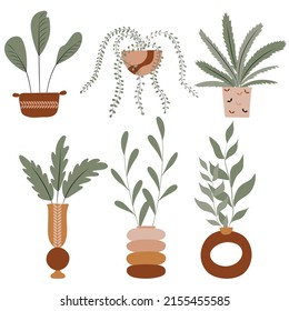 Hand drawn House Plants in Pots and Vases, Premium Vector